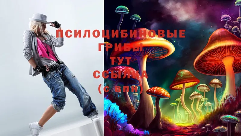 гидра зеркало  Коломна  Галлюциногенные грибы Magic Shrooms 