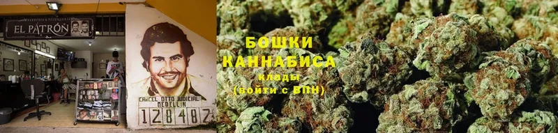 купить наркотики цена  площадка состав  Марихуана White Widow  Коломна 